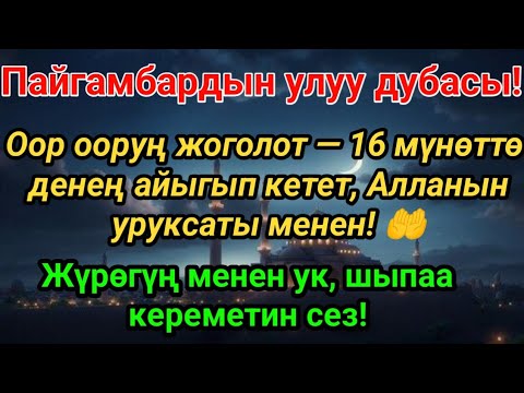 Видео: 🤲 Пайгамбардын дубасы — 16 мүнөттө айыгасың! Алланын керемети чындык!