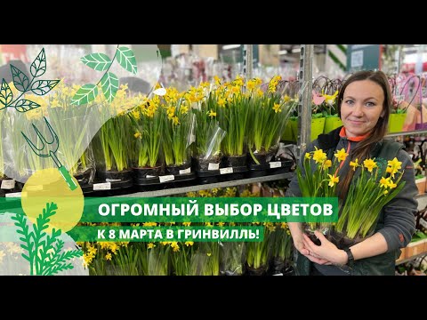 Видео: Огромный выбор цветов к 8 марта в Гринвилль! Обзор праздничной поставки!