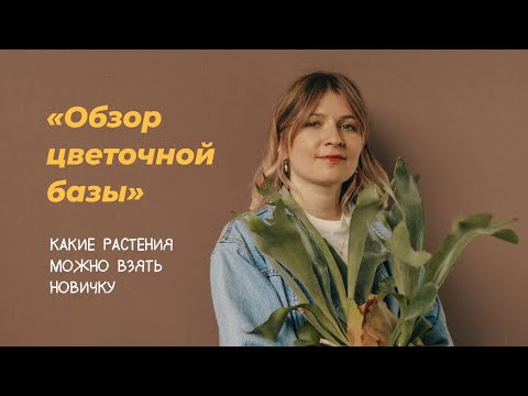 Видео: Обзор цветочной базы. Какие растения можно взять новичку