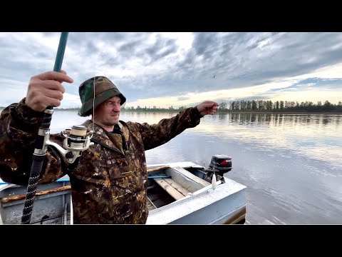 Видео: Бешеный клев хариуса. Рыбалка на спиннинг. Рыбалка на Севере