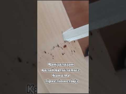 Видео: Қандала жөнінде толық акпарат.Каналға тіркеліп кетіңіз 🥰