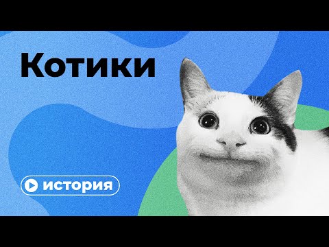 Видео: История кошек за 10 минут