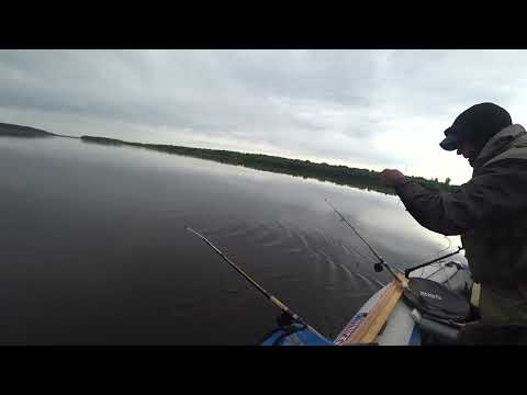 Видео: Всё-таки нашёл рыбу. Рыбалка на бортовые удочки