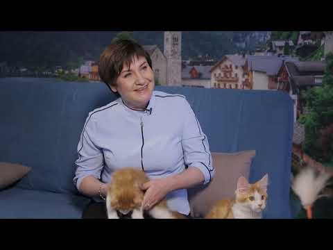 Видео: Мейн кун