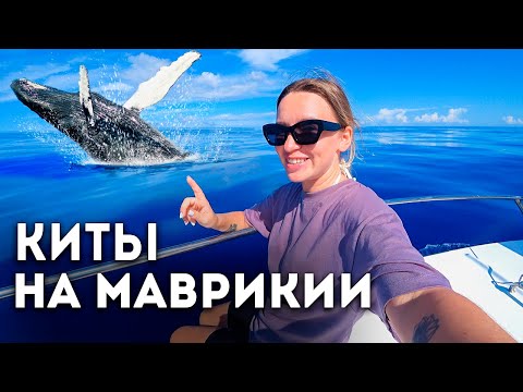 Видео: ЛУЧШИЙ ОТДЫХ НА МАВРИКИИ. ОБЗОР ОТЕЛЯ 5* | ПЛАВАЕМ С КИТАМИ