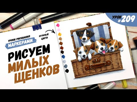 Видео: Как нарисовать милых щенков? / Видео-урок по рисованию маркерами #209