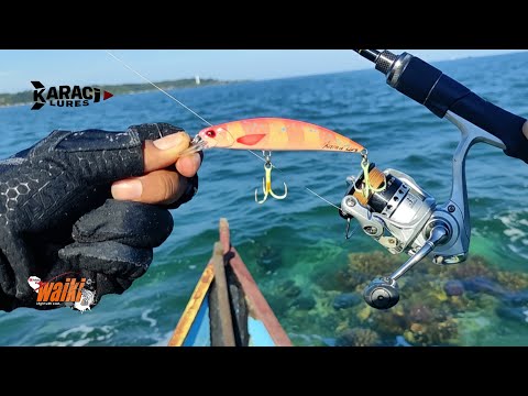 Видео: Эта приманка для заброса в открытое море более эффективна для мелководных коралловых рифов @WAIKI58