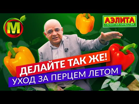 Видео: Уход за перцем летом. Как получить большой урожай перца.