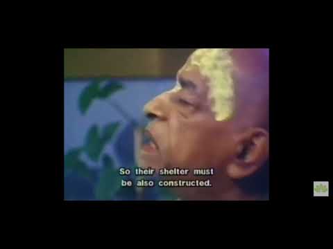 Видео: Все ли души падают из духовного мира? - АЧ Бхактиведанта Свами Шрила Прабхупада