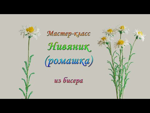 Видео: DIY / НИВЯНИК (РОМАШКА) ИЗ БИСЕРА  /Мастер-класс Ольги Ковалевой-Лисовской  / Цветы из бисера
