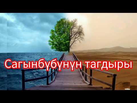Видео: Сагынбунун тагдыры