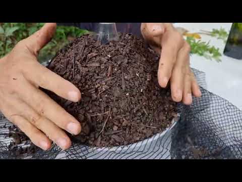 Видео: Красивая идея с Белербругой - Разное способ подвеса №2