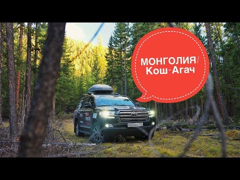 Видео: Путешествие в Азию. Монголия, Алтай граница, Кош-Агач часть 6. Toyota Land Cruiser