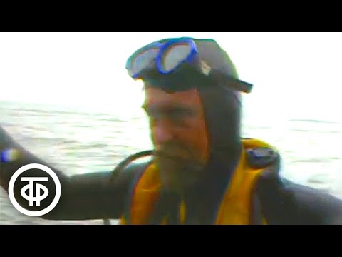 Видео: Проблема сброса сточных вод у берегов Владивостока. Эфир 12 августа 1987