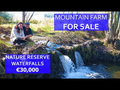 Видео: ПРОДАЕТСЯ ФЕРМЕРСКИЙ ДОМ В ПОРТУГАЛИИ - ЧАСТНЫЙ ПРИРОДНЫЙ ЗАПОВЕДНИК, ВОДОПАДЫ И ЛЕСНОЕ ХОЗЯЙСТВО...