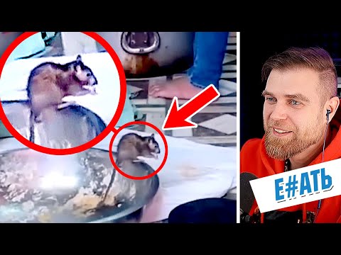Видео: ПОЧЕМУ индийская УЛИЧНАЯ еда ТАКАЯ ТРЕШОВАЯ?