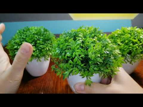 Видео: Супер находка!Посылки из AliExpress.Искусственные цветы. Декоративные цветы. Искусственные растения.