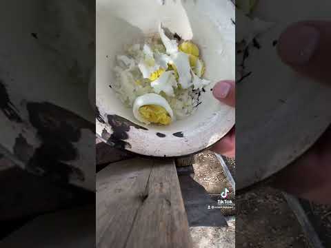 Видео: Балапандарға қандай жем берген дұрыс🐣🐥