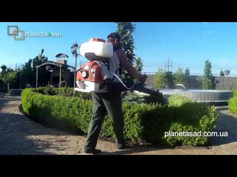 Видео: Cамшитовая огневка