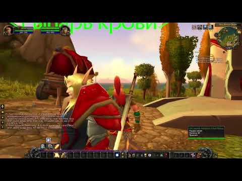 Видео: WOW 3.3.5a -Паладин (эльф крови) c 1по80 lvl #2