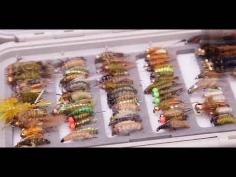 Видео: Ловля хариуса нахлыстом