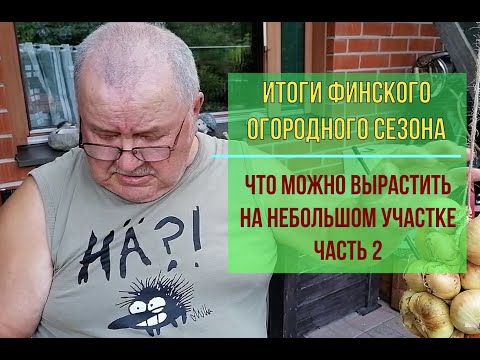 Видео: Итоги финского огородного сезона. Что можно вырастить на небольшом  приусадебном участке ч.2