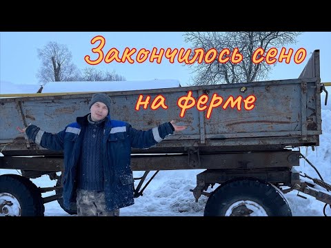 Видео: Везем сено для быков. Жизнь в Деревне.