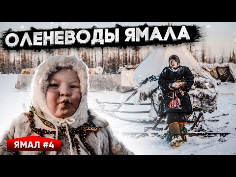 Видео: КРУТЫЕ ЯМАЛЬСКИЕ ОЛЕНЕВОДЫ. КАК ЖИВУТ ЗИМОЙ В ЧУМАХ ПРИ -50. ЯМАЛ #4