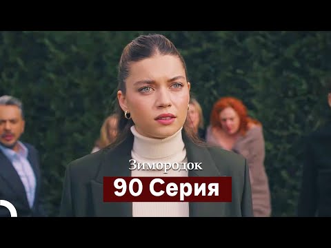 Видео: Зимородок 90 Cерия (Русский дубляж)