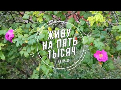 Видео: ЖИВУ НА 5 000  С ДВУМЯ ДЕТЬМИ ДЕНЬ 8