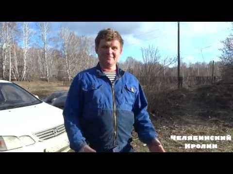 Видео: Ямное содержание кроликов #2 | Вопросы и ответы