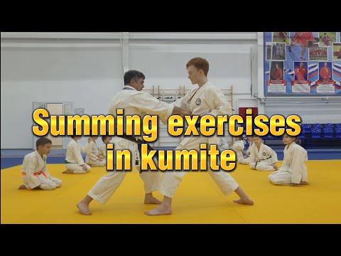 Видео: Подводящие упражнения кумитэ