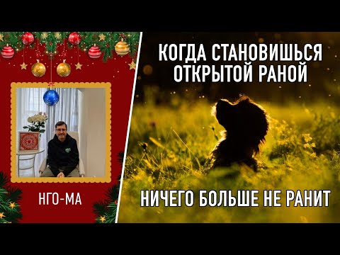 Видео: Когда становишься открытой раной, ничего больше не ранит