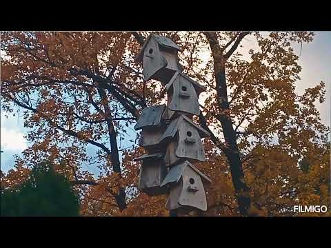 Видео: Краски осени🍂 II часть. г. Днепр. Прогулка по красивой осенней природе.
