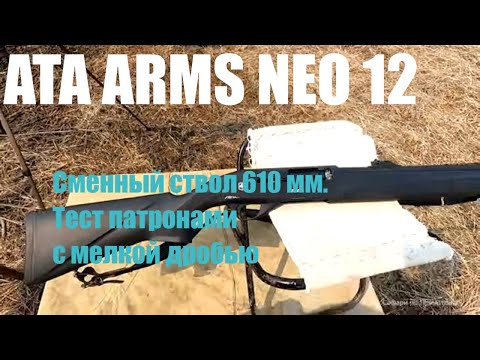 Видео: Тестирую ствол 610 мм. АТА НЕО 12, патронами с мелкой дробью. Достойный результат.