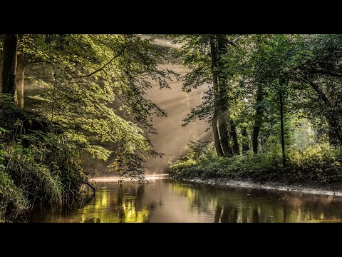 Видео: Жизнь и Ошибки ( автор Инна Разумовская )