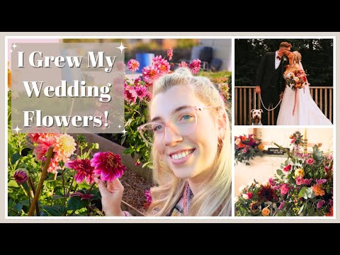 Видео: Я сама вырастила свадебные цветы — финал! 💐 | Видеоблог о садоводстве на участке №100