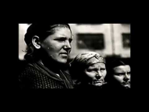 Видео: Не стоит слёз