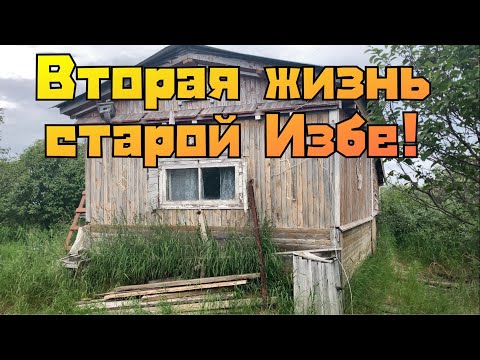 Видео: Вторая жизнь старой избушке