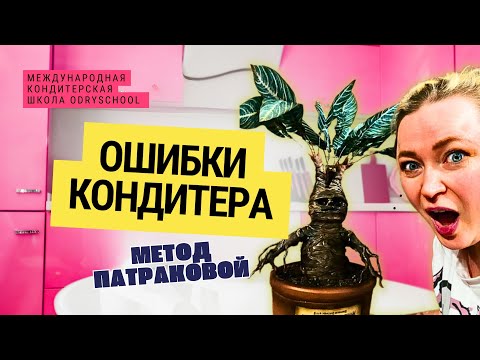 Видео: ⁉️Почему твой торт выглядит дёшево?  Разбор частых ошибок начинающих кондитеров!🤯
