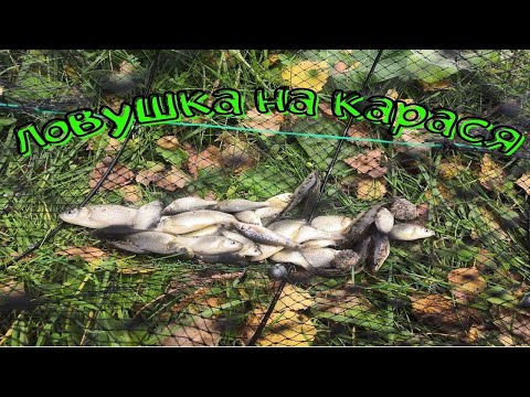 Видео: ПОСТАВИЛ ВЕРШУ.ЧЕРЕЗ СУТКИ ПРОВЕРИЛ И БЫЛ УДИВЛЕН