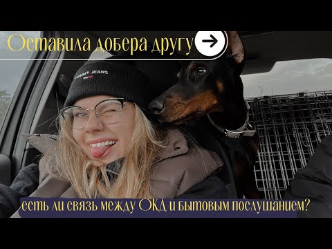 Видео: На рыбалке с дедом | рассуждаю об ОКД | готовлю новый завтрак | оставили собаку другу 