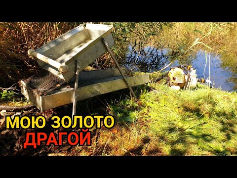 Видео: МОЮ ЗОЛОТО ДРАГОЙ