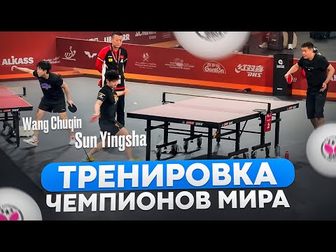 Видео: ЭКСКЛЮЗИВНАЯ ТРЕНИРОВКА ЛУЧШИХ В МИРЕ | WANG CHUQIN и SUN YINGSHA