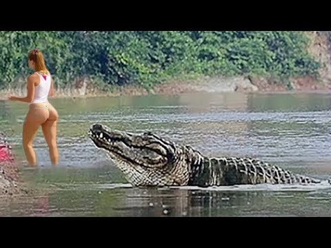 Видео: Как Такое Вообще Возможно? Эти Случаи С Животными Повезло Снять