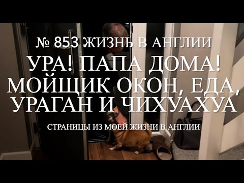 Видео: Ура! Папа дома! Мойщик окон, еда, ураган и чихуахуа. № 853 Жизнь в Англии 