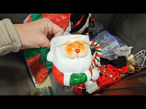 Видео: О нет, это снова случилось со мной в Goodwill Bins.