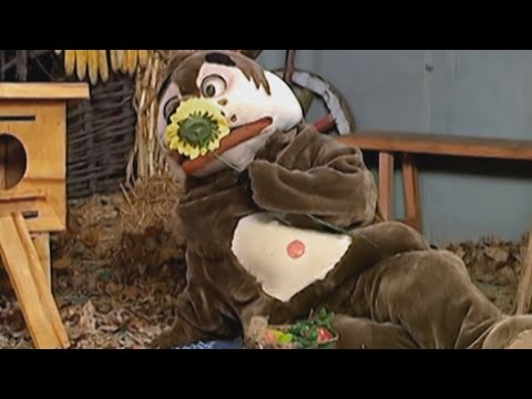 Видео: Старая добрая Деревня Дураков #27