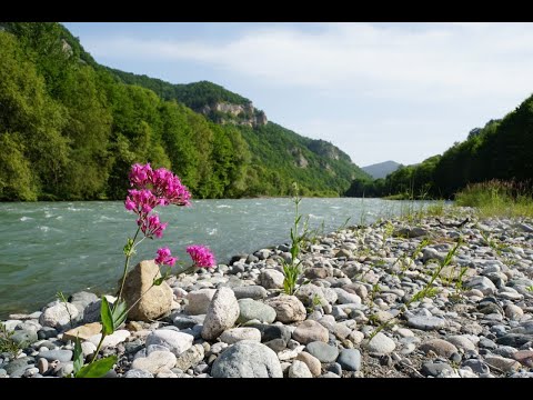 Видео: Малая Лаба. Сплав на сапах