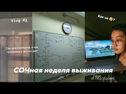 Видео: СОЧная неделя выживания в НИШ || о том, как нишевцы пишут всо 😀🤑